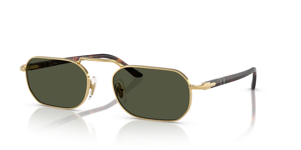 persol-po1020s-sonnenbrille-schmal-acetat-2 image 1