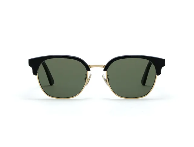 l-g-r-sahara-sonnenbrille-gold-black-01-green-g15-53 image 1