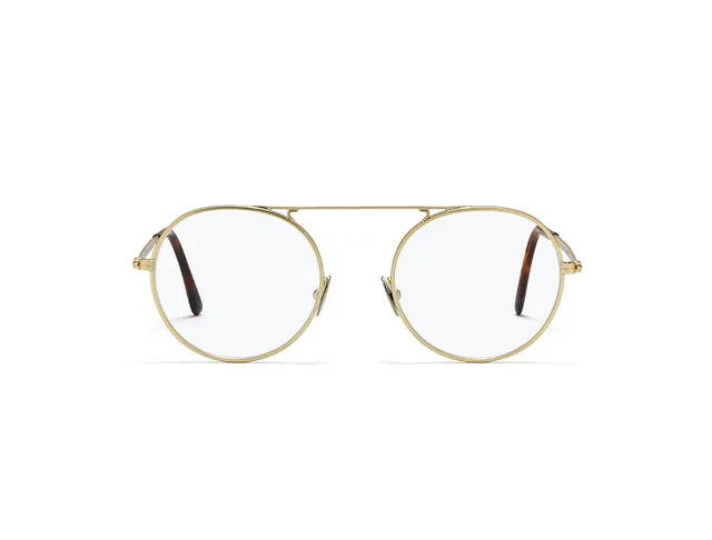 l-g-r-tuareg-sonnenbrille-gold-matt-havana-maculato-matt-39 image 1