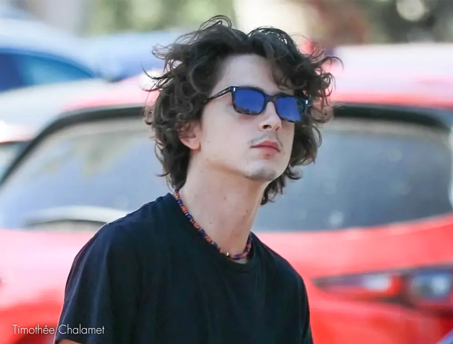l-g-r-suez-sonnenbrille-havana-maculato-blue-hd image 5