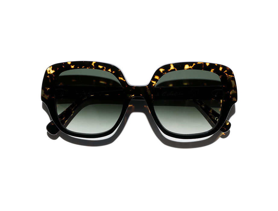 l-g-r-agave-sonnenbrille-black-havana-scuro-green-gradient-base-4 image 3
