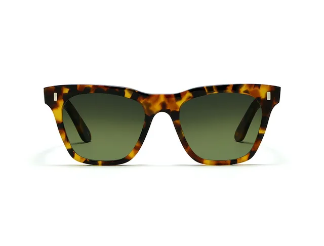 l-g-r-cecile-sonnenbrille-havana-savannah-green-g15-gradient image 1