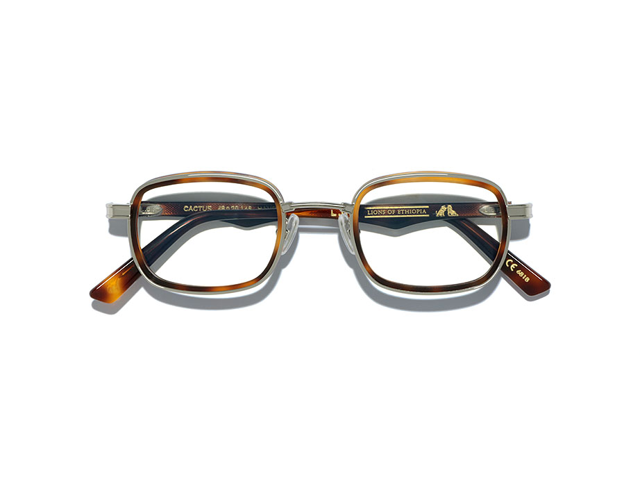 l-g-r-cactus-lions-of-ethiopia-sonnenbrille-havana-maculato-acetate-rim-39 image 3