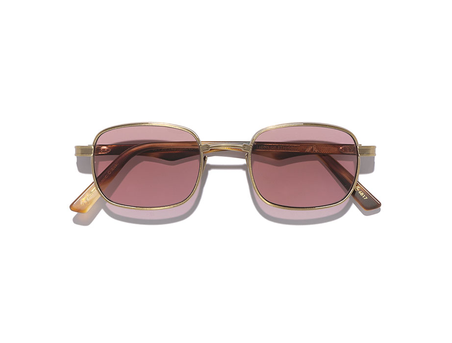 l-g-r-cactus-sonnenbrille-gold-antiqued-havana-tobacco-vinaccio-photochromic image 3