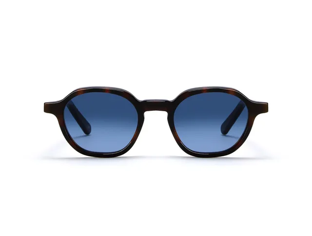 l-g-r-algiers-sonnenbrille-havana-maculato-39-blue-hd-gradient image 1