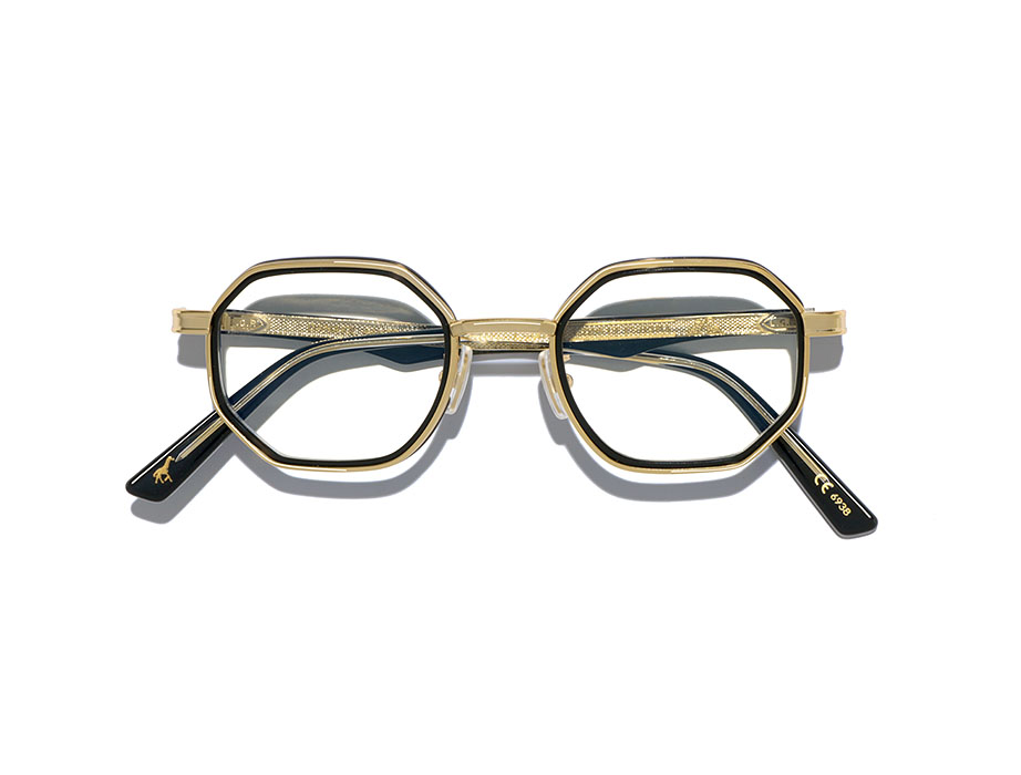 l-g-r-danakil-lions-of-ethiopia-sonnenbrille-gold-acetate-rim-01d image 3