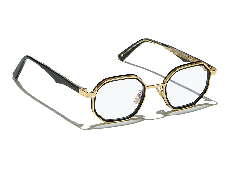 l-g-r-danakil-lions-of-ethiopia-sonnenbrille-gold-acetate-rim-01d image 2