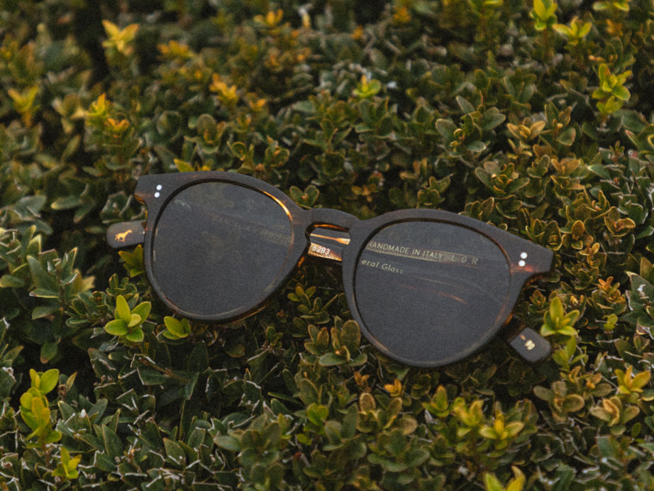 l-g-r-dancalia-ii-sonnenbrille-havana-tobacco-green-g15 image 5