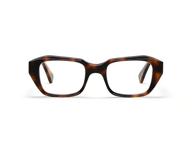 l-g-r-egypt-sonnenbrille-havana-maculato-39 image 1