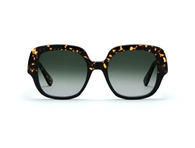 l-g-r-agave-sonnenbrille-black-havana-scuro-green-gradient-base-4 image 1