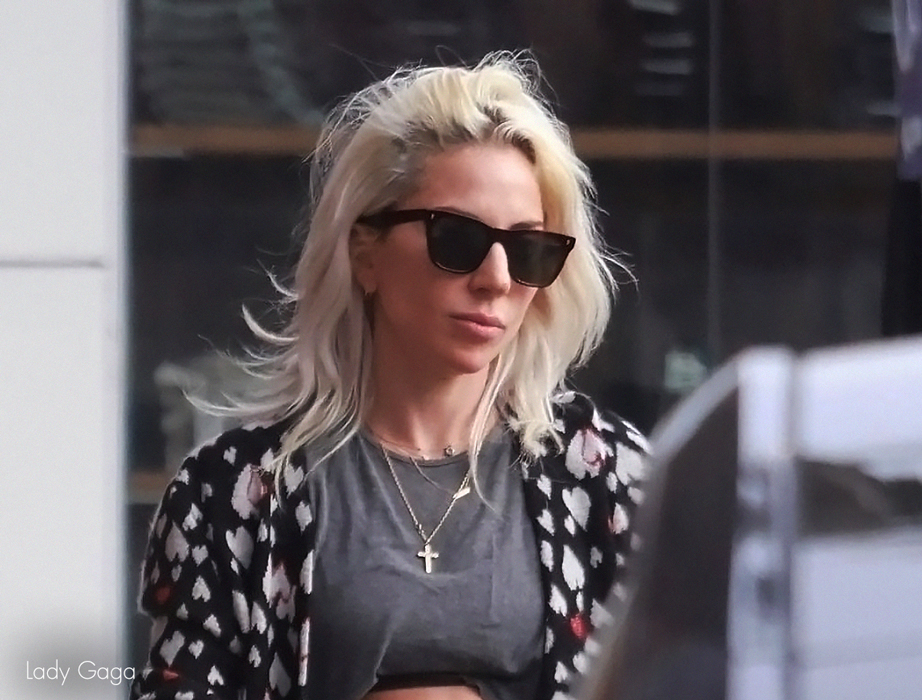 l-g-r-cecile-sonnenbrille-havana-bordeaux-65-green-g15-lady-gaga image 4