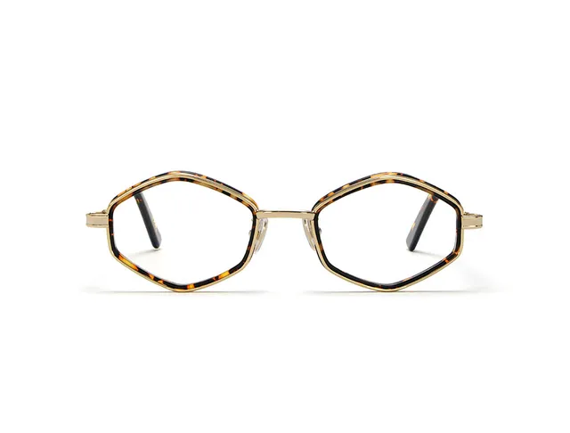 l-g-r-tigray-lions-of-ethiopia-sonnenbrille-gold-havana-scuro image 1