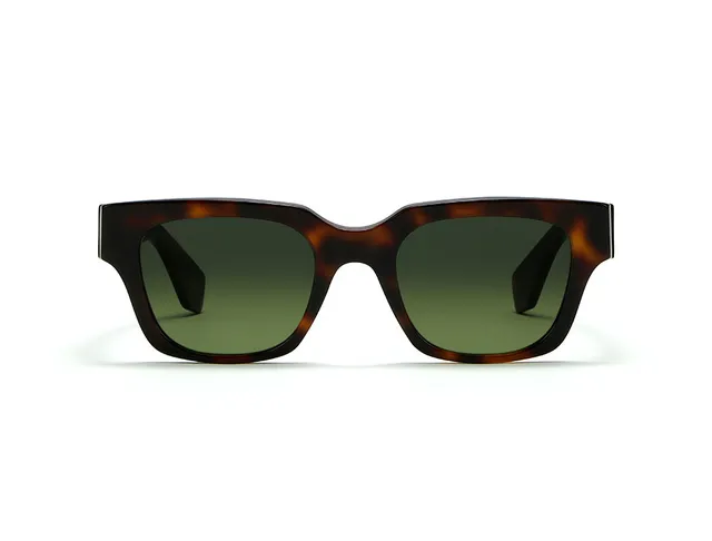 l-g-r-desert-sonnenbrille-havana-maculato-39-bottle-green-gradient image 1