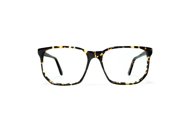 l-g-r-nile-sonnenbrille-havana-scuro-09 image 1